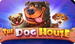 Roulettino – The Dog House